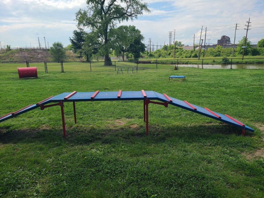 burlington dog park burlington 3 1 1024x768
