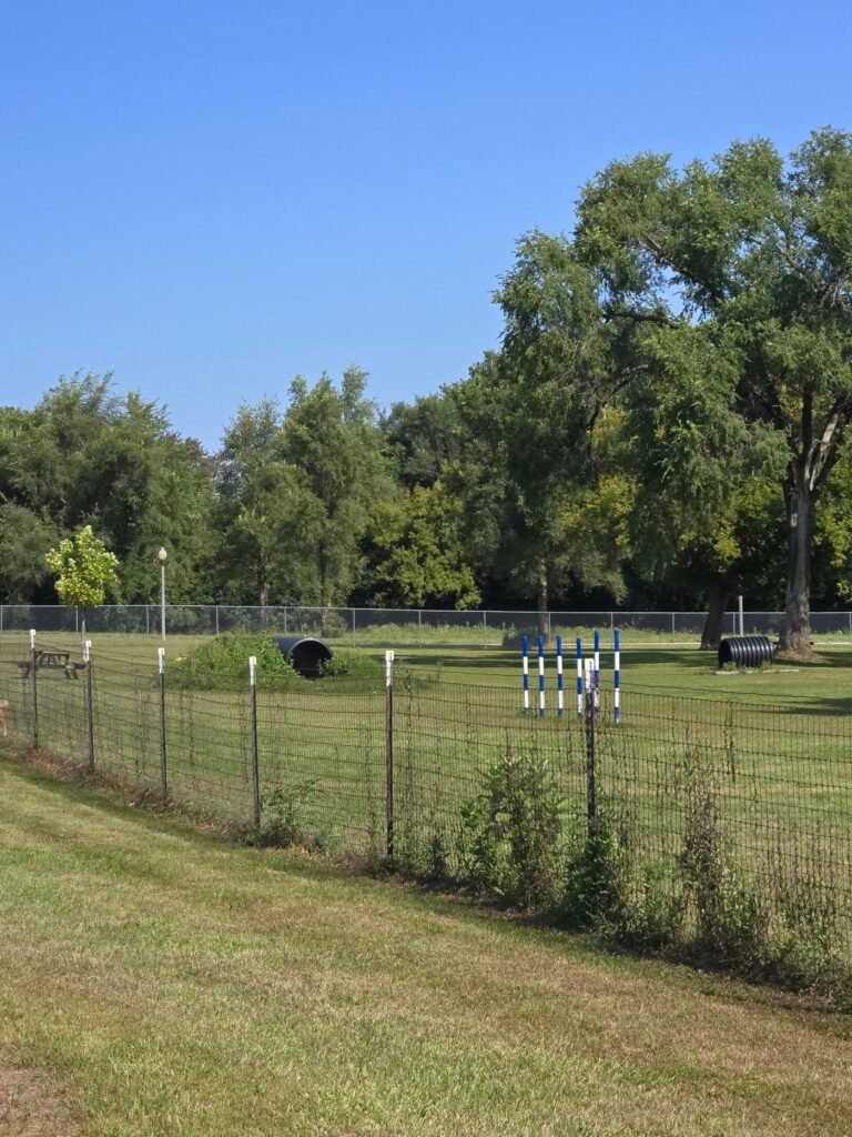 burlington dog park burlington 5 1 768x1024