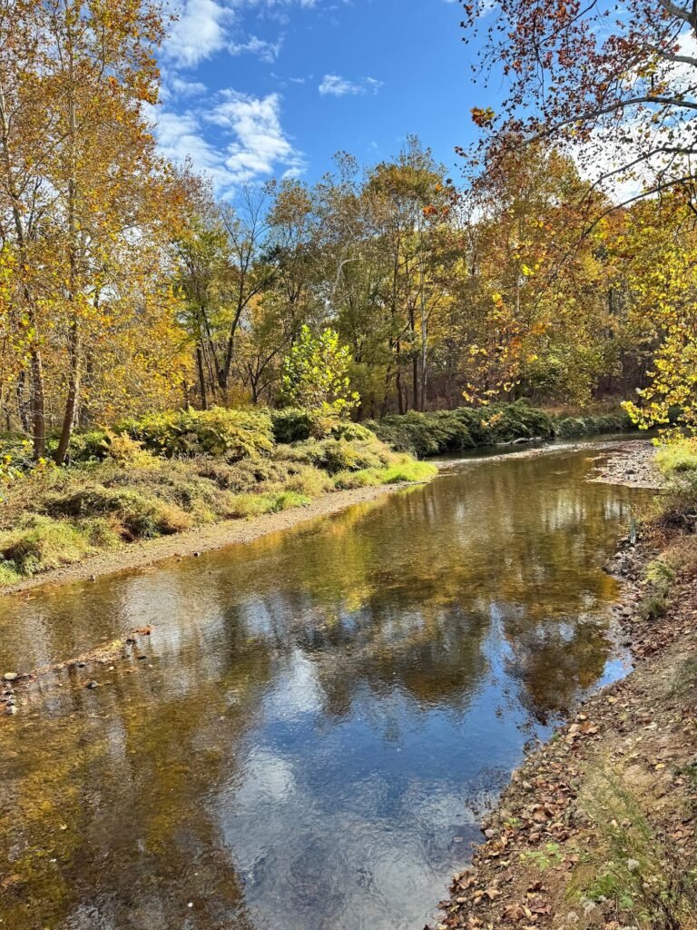 burnt mills dog park bedminster 5 1 768x1024