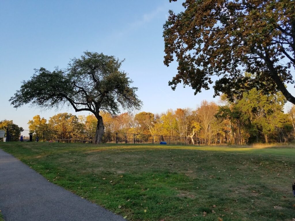 cameron dog park parsippany 2 1 1024x768