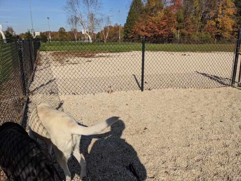 canine commons west windsor dog park west windsor 2 1 768x576