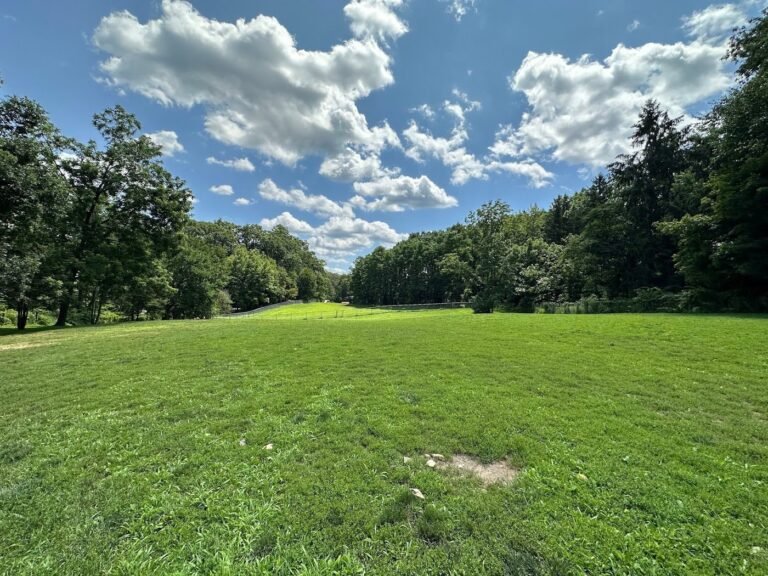 central park county dog park morris plains 3 1 768x576