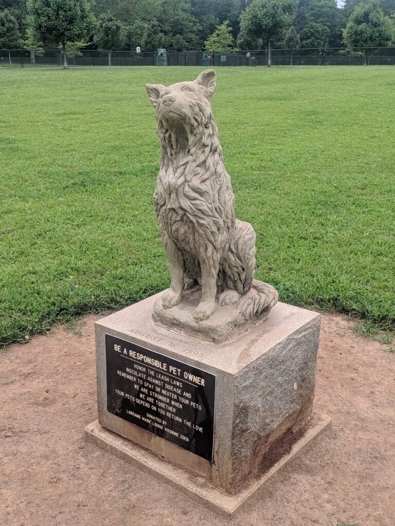 colonial dog park somerset 5 1 768x1024
