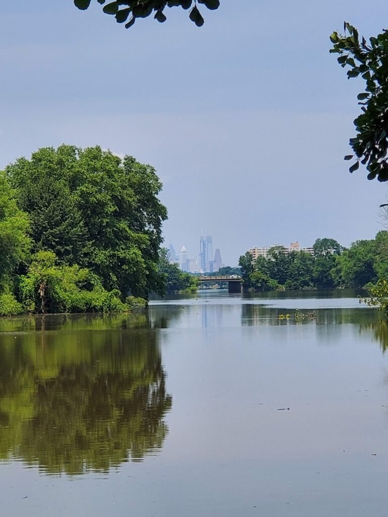 cooper river dog park cherry hill 2 1 768x1024