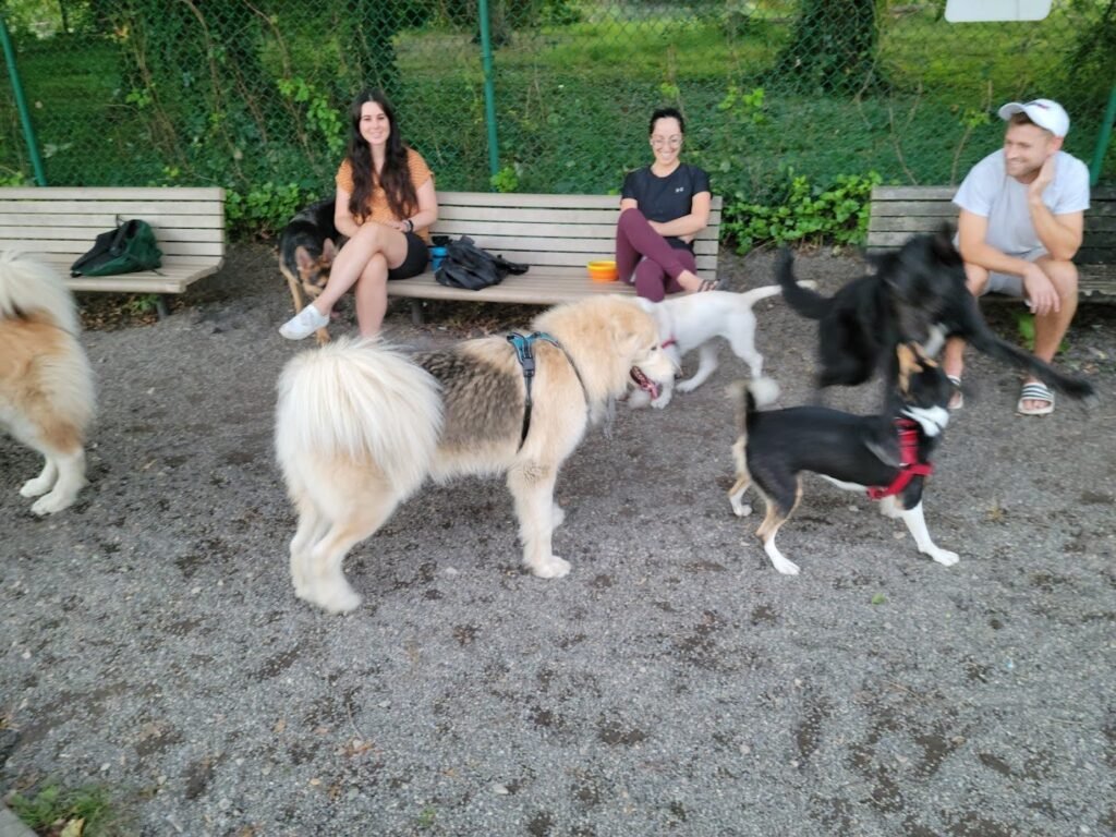 cooper river dog park cherry hill 3 1 1024x768