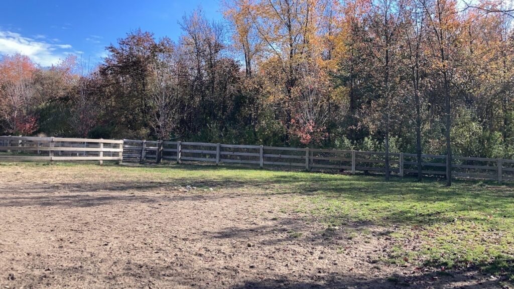 croft farm dog park 2 1 1024x576