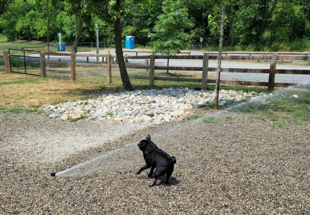 croft farm dog park 3 1 1024x711