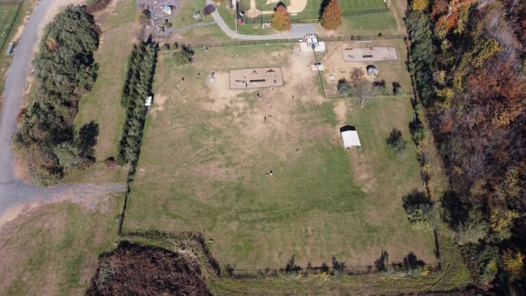 dog park at turkey brook flanders 4 1 768x432