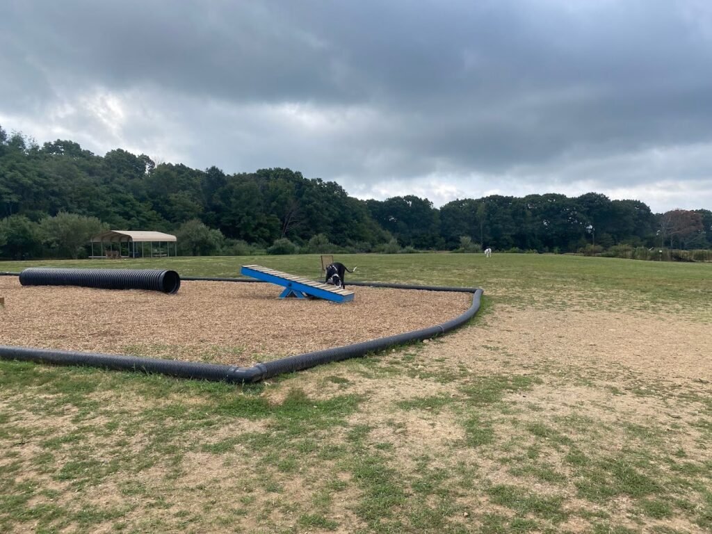 dog park at turkey brook flanders 5 1 1024x768
