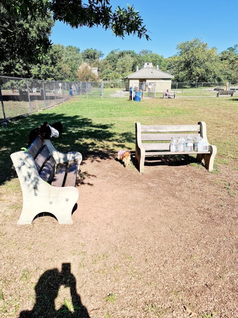 donaldson dog park highland park 3 1 768x1024