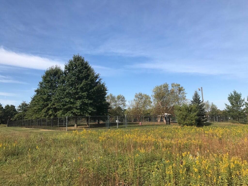 east brunswick dog park east brunswick 2 1 1024x768