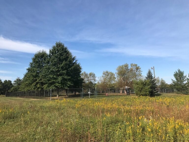 east brunswick dog park east brunswick 2 1 768x576