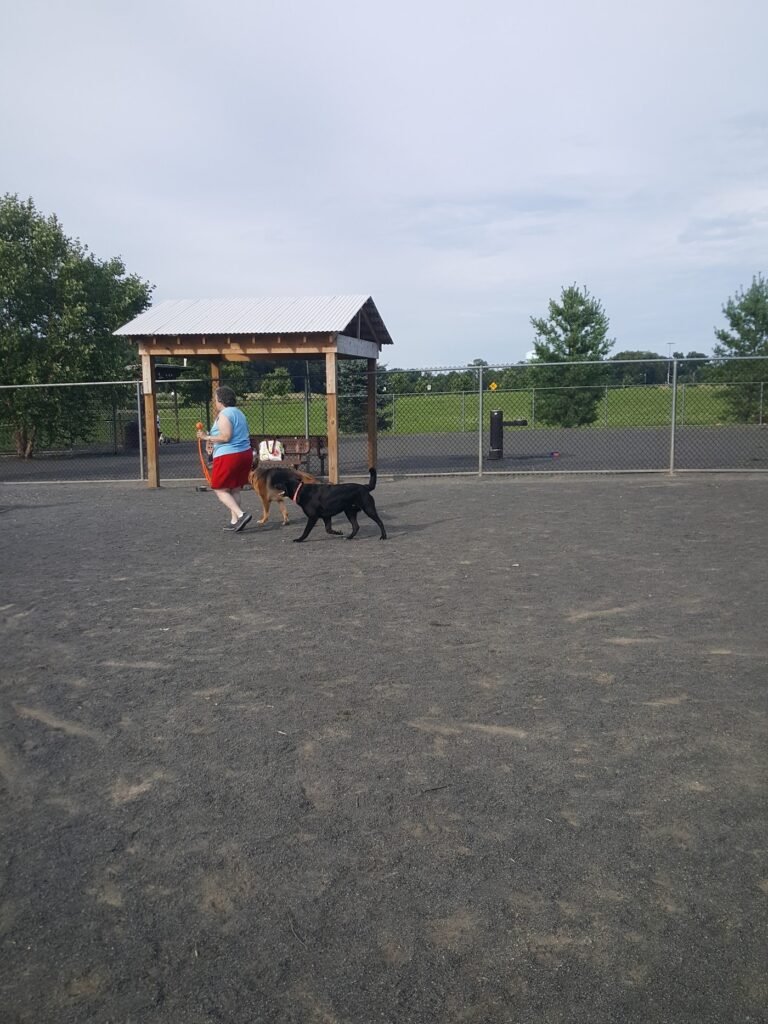 east brunswick dog park east brunswick 3 1 768x1024