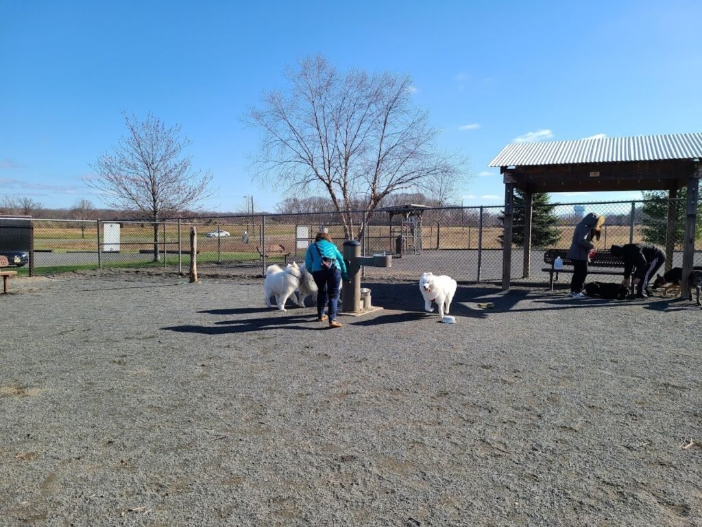 east brunswick dog park east brunswick 5 1 1024x768