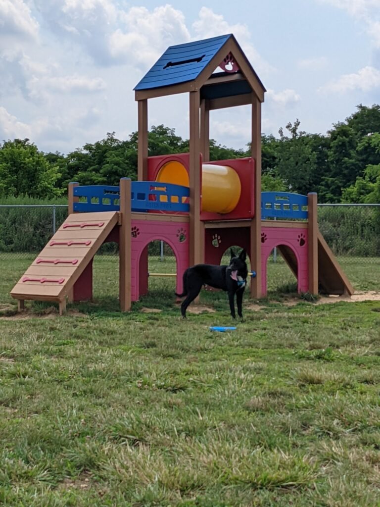 edison metuchen community dog park edison 3 1 768x1024