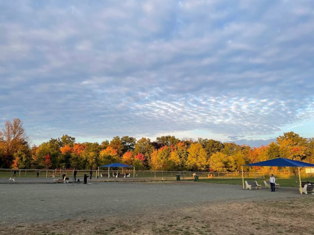 edison metuchen community dog park edison 4 1 1024x768