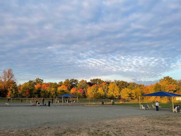 edison metuchen community dog park edison 4 1 768x576