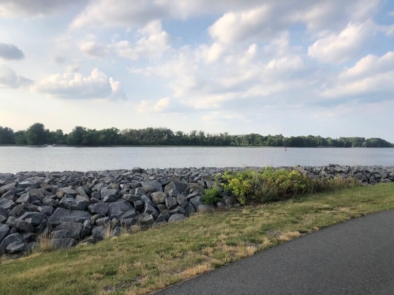 florence township dog park roebling 4 1 768x576
