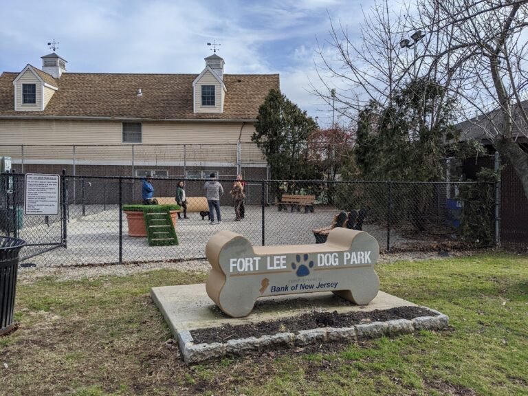 fort lee dog park fort lee 4 1 768x576