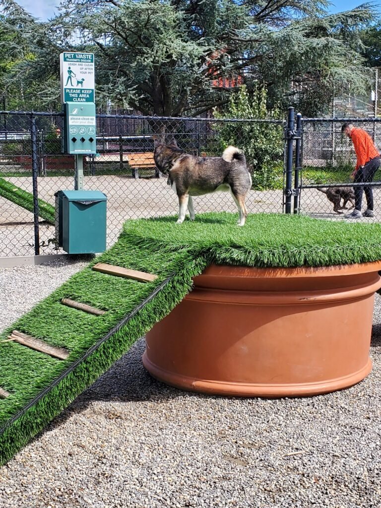 fort lee dog park fort lee 5 1 768x1024