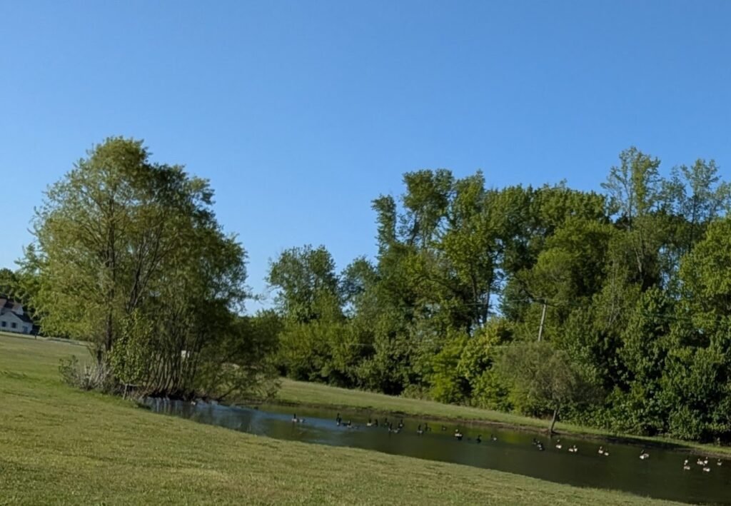 gibbstown memorial park dog park gibbstown 2 1 1024x709