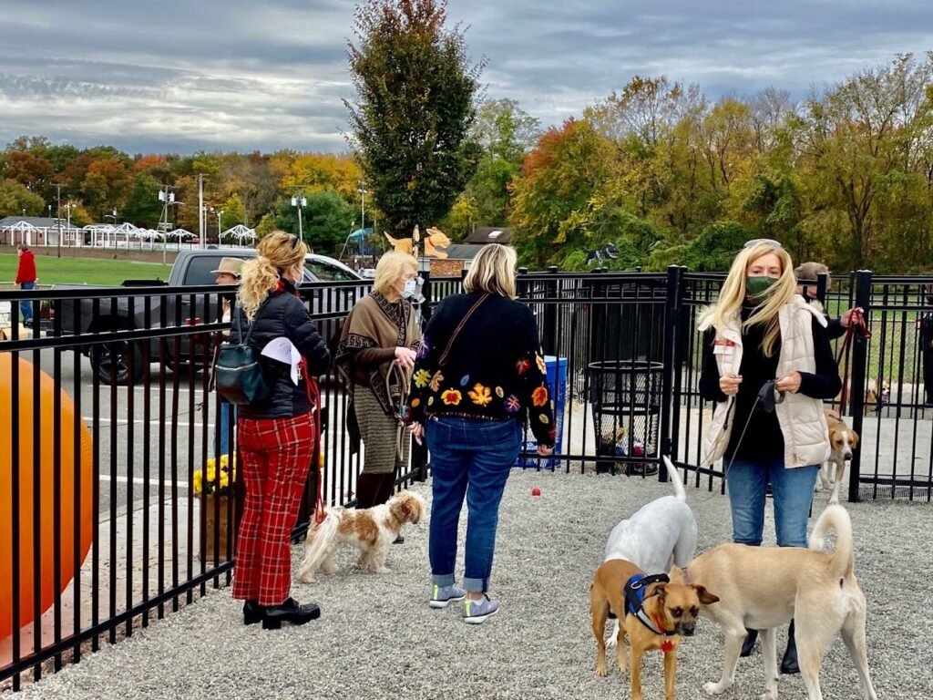 glen rock nj dog park glen rock 2 1 1024x768