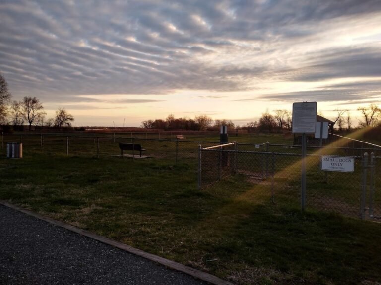 gloucester county dog park logan township 4 1 768x576