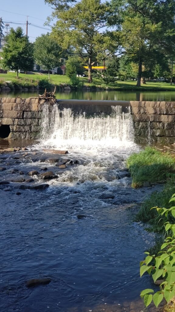 goffle brook dog park hawthorne 5 1 576x1024
