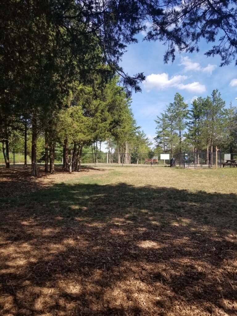 hillsborough dog park hillsborough township 2 1 768x1024