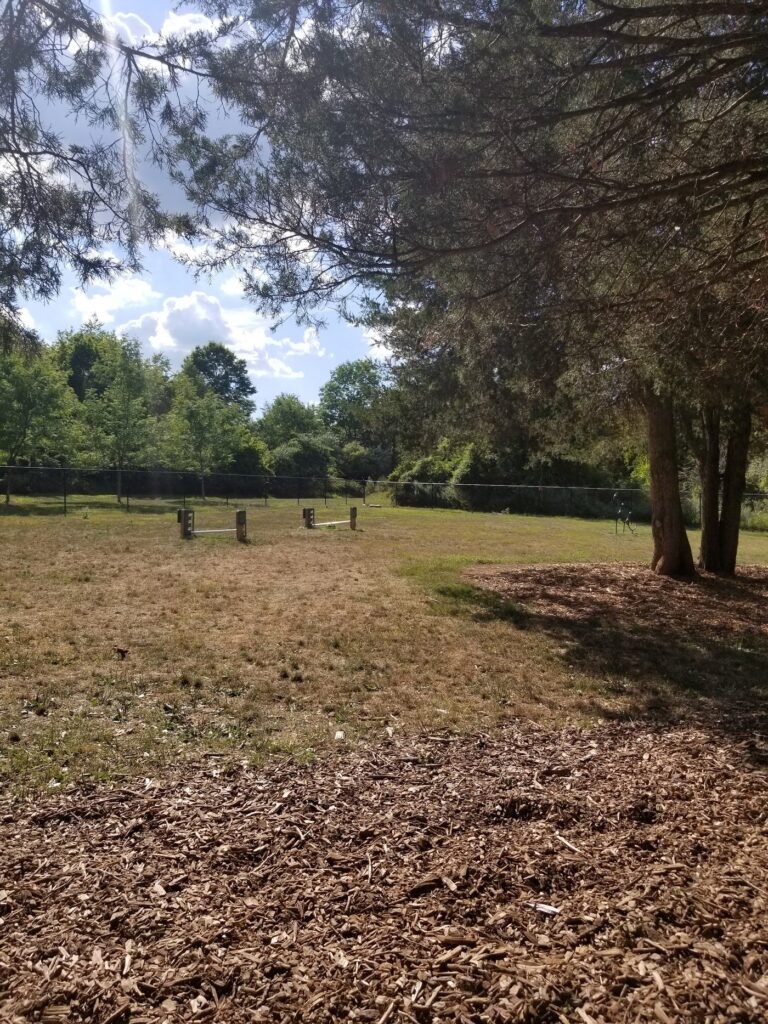 hillsborough dog park hillsborough township 3 1 768x1024