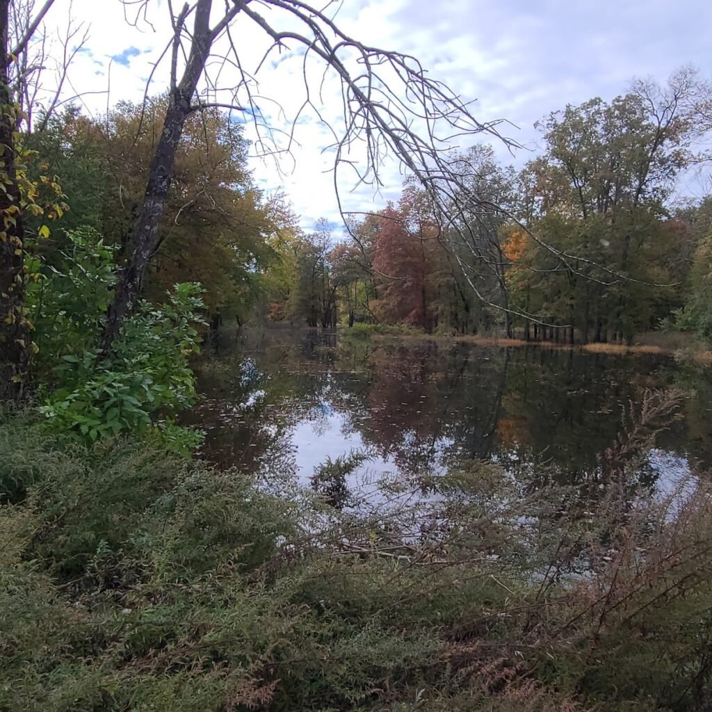 hillsborough dog park hillsborough township 5 1 1024x1024