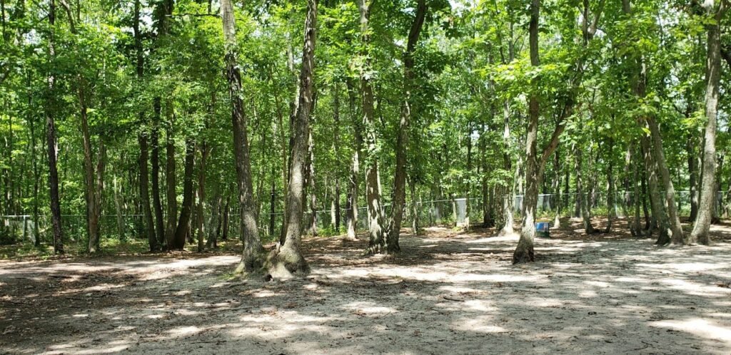 howell bark park howell township 4 1 1024x498
