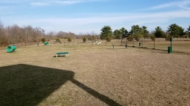 jbmdl dog park joint base mdl 3 1 768x432