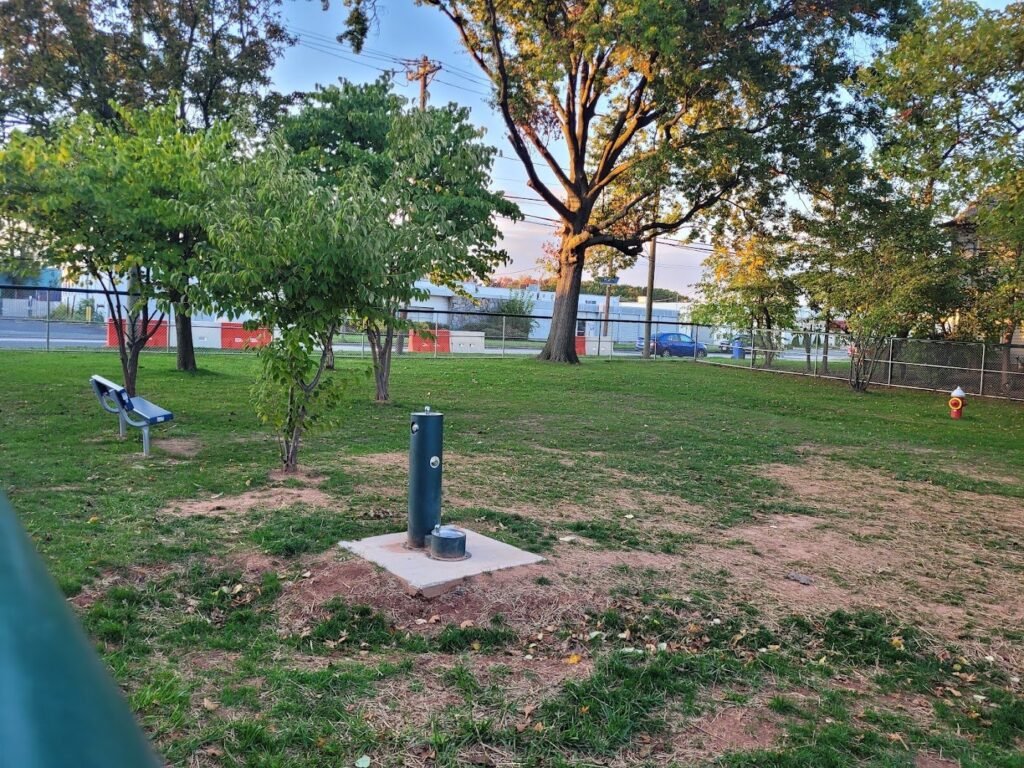 lexington dog park linden 4 1 1024x768