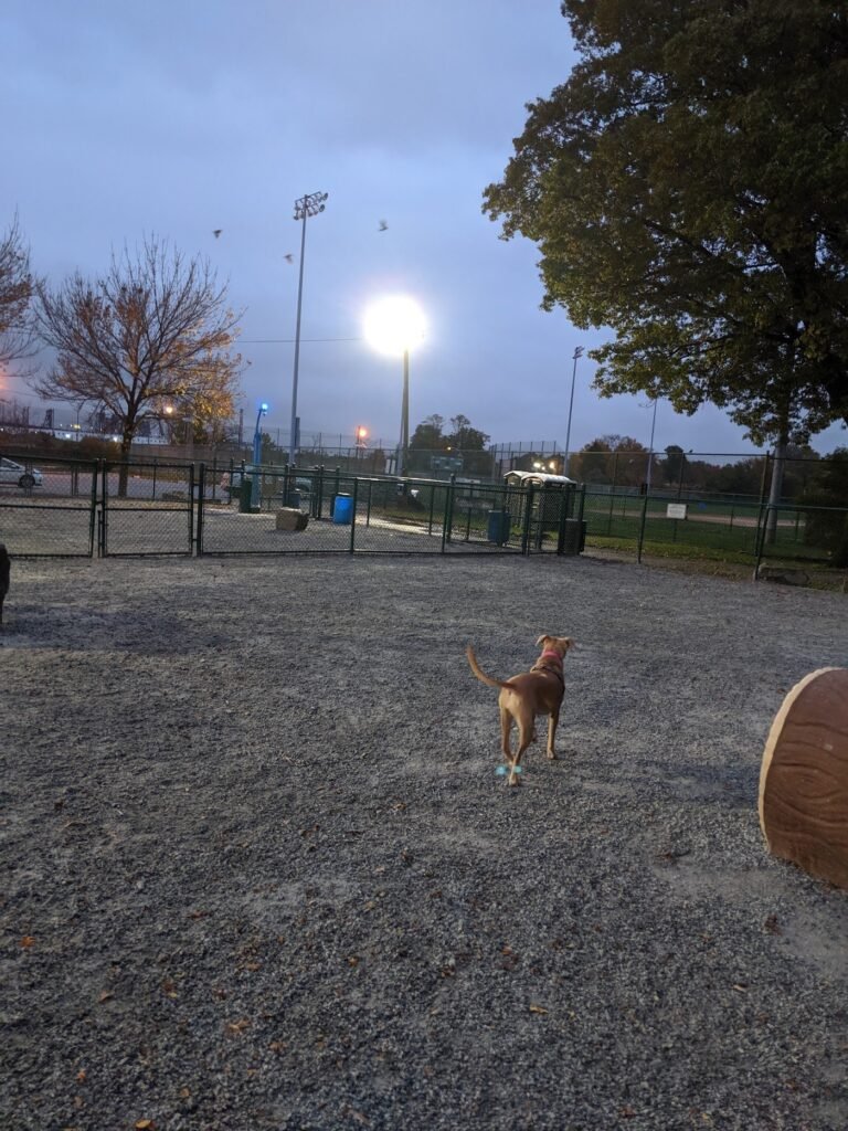 lincoln park dog run jersey city 3 1 768x1024