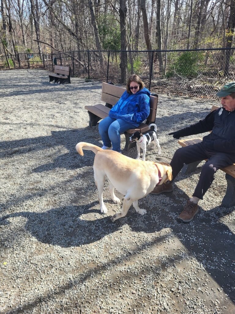 livingston dog park livingston 2 1 768x1024
