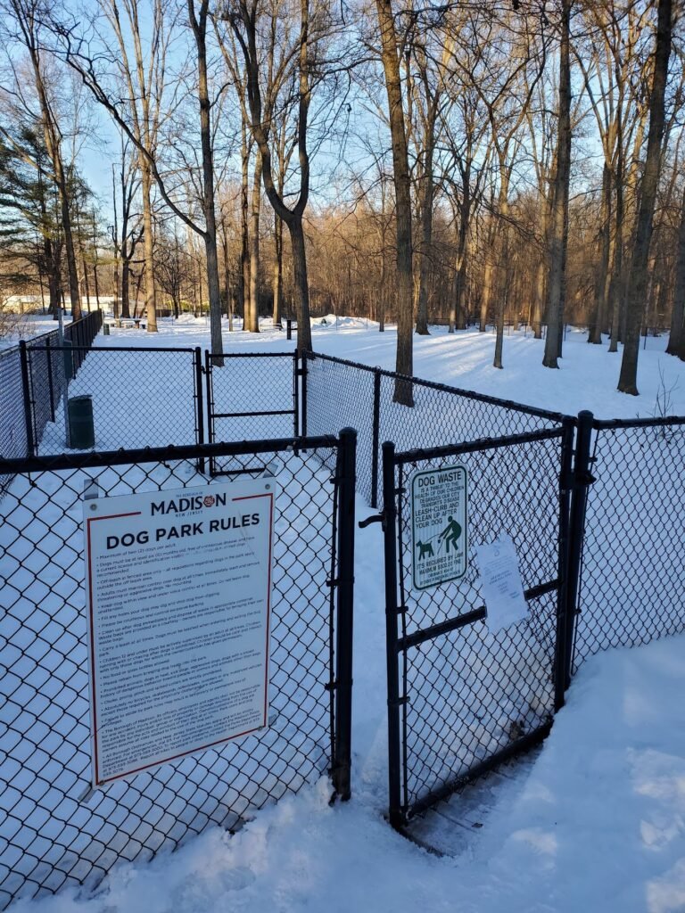 madison dog park madison 3 1 768x1024