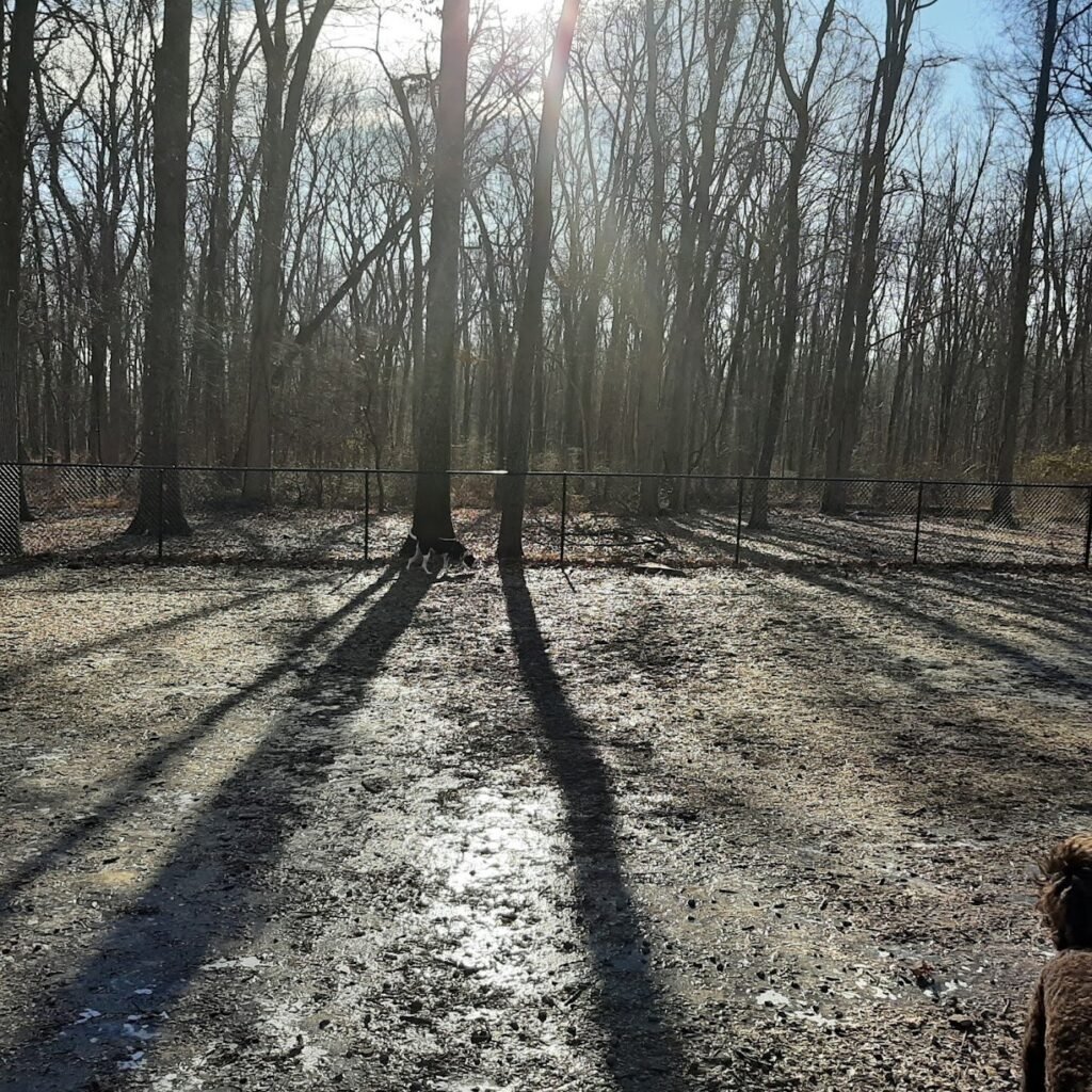 madison dog park madison 4 1 1024x1024