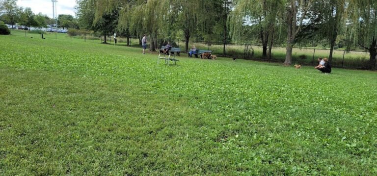 marlboro dog park marlboro township 4 1 768x359