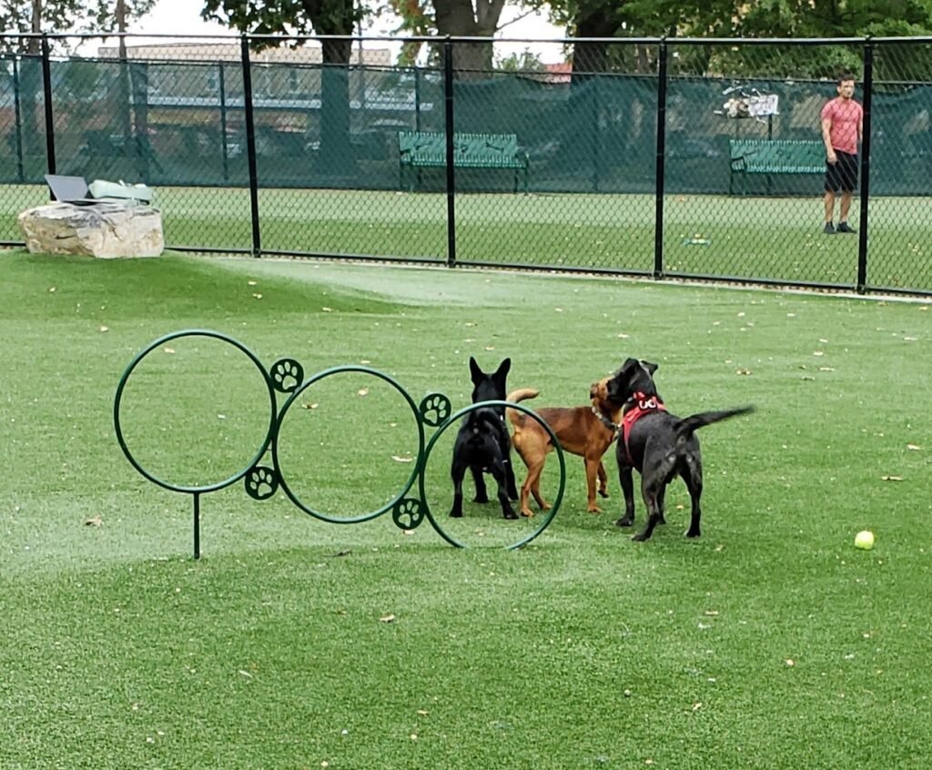 north hudson county park dog park north bergen 4 1 1024x846