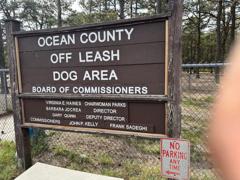 ocean county off leash dog area bayville 3 1 768x576