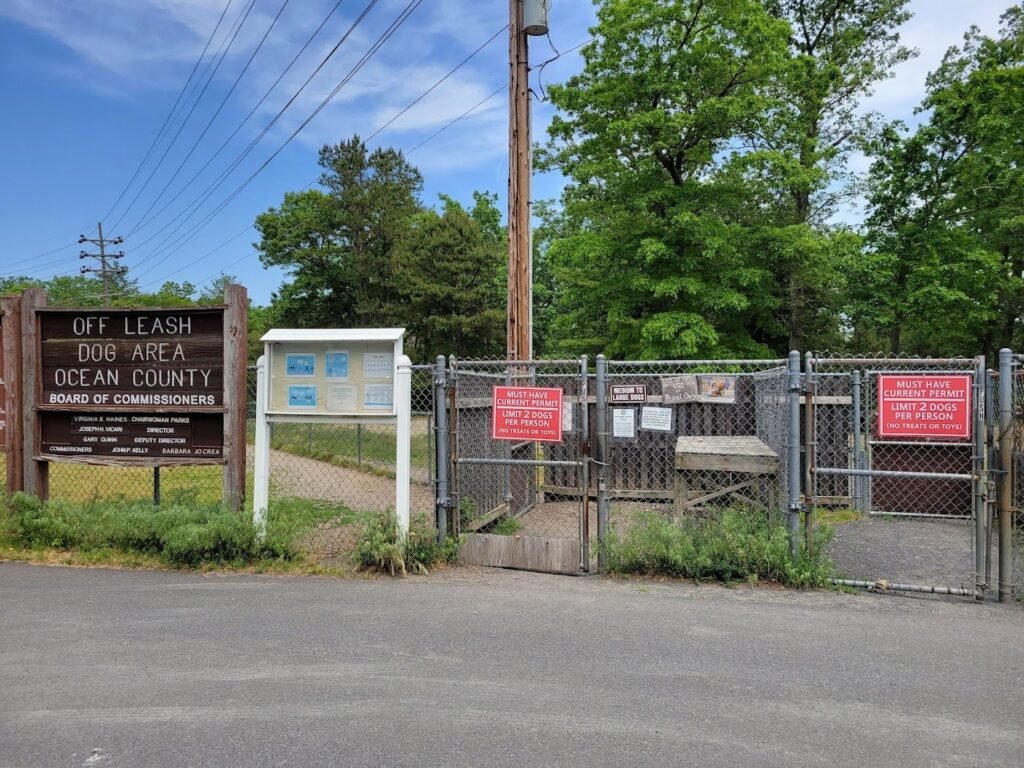 ocean county park off leash dog run lakewood 5 1 1024x768