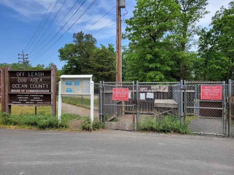 ocean county park off leash dog run lakewood 5 1 768x576