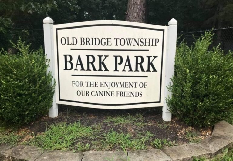 old bridge bark park old bridge 4 1 768x531