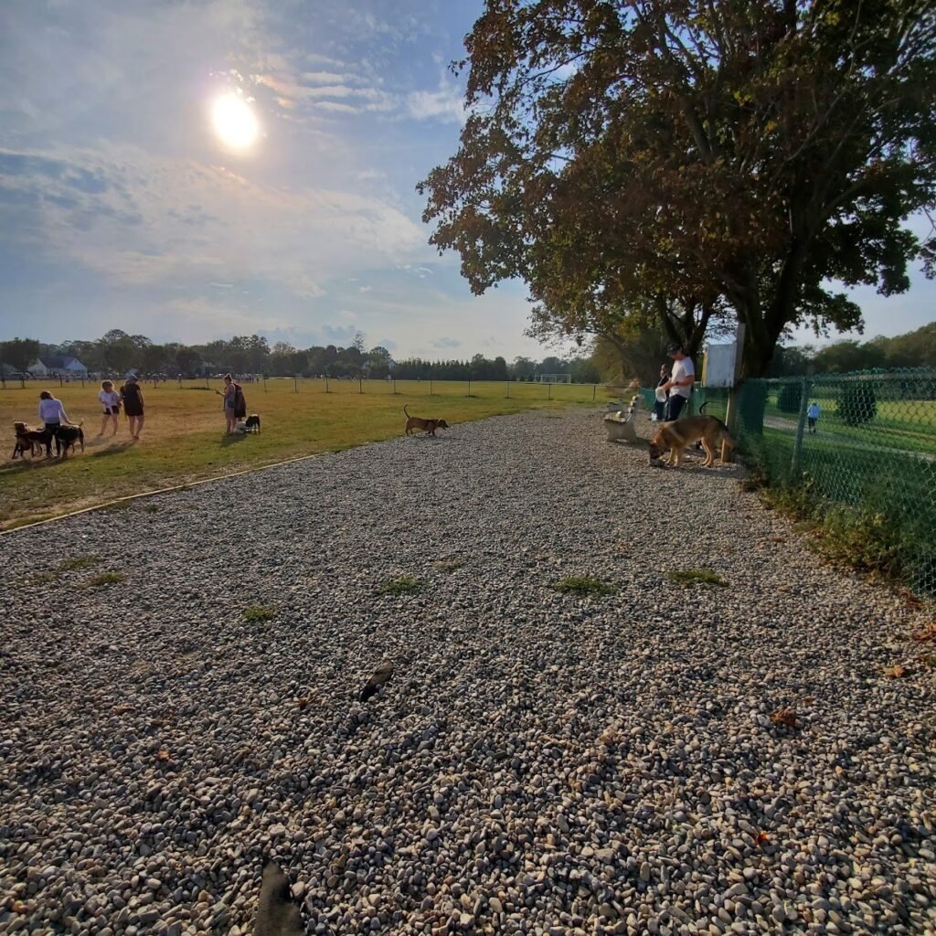 orchard park dog park manasquan 4 1 1024x1024