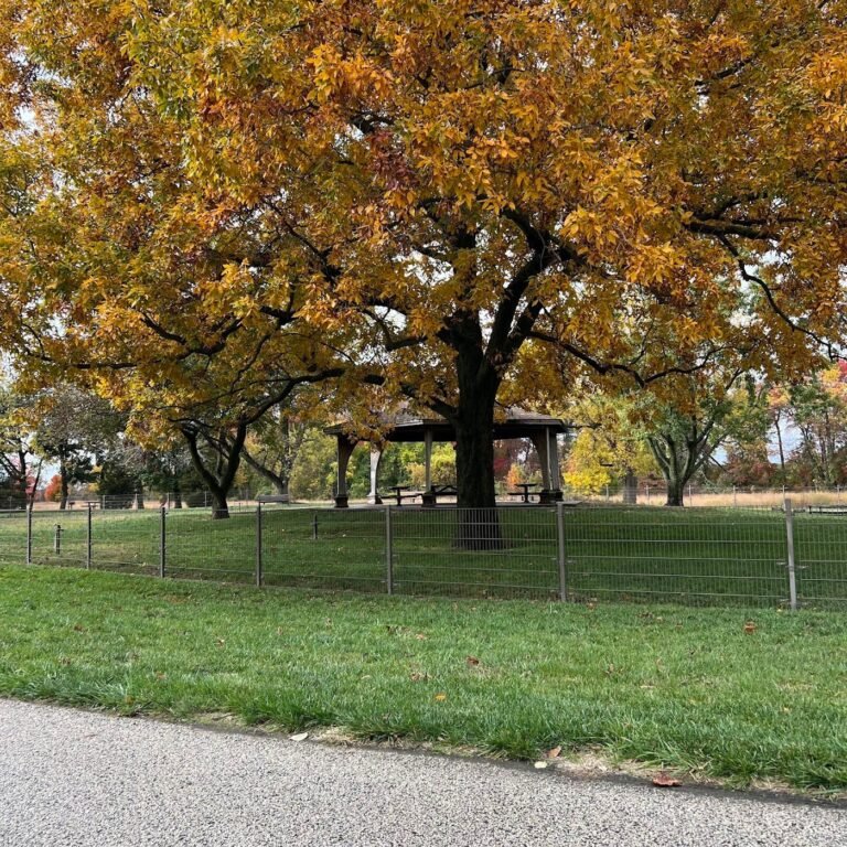 pennington park dog park delanco 3 1 768x768