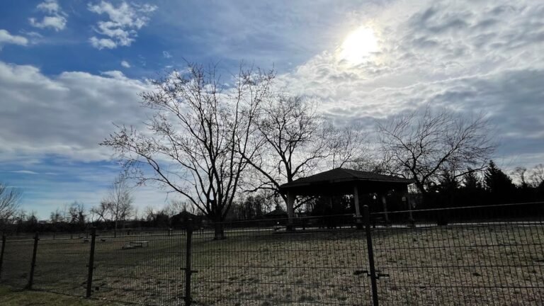 pennington park dog park delanco 4 1 768x432