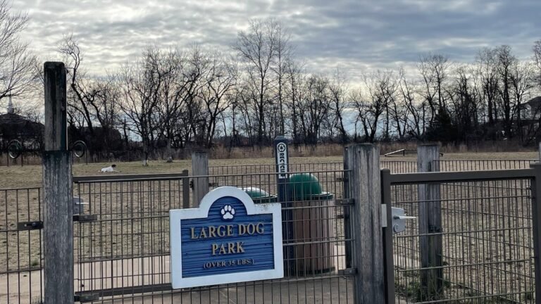 pennington park dog park delanco 5 1 768x432