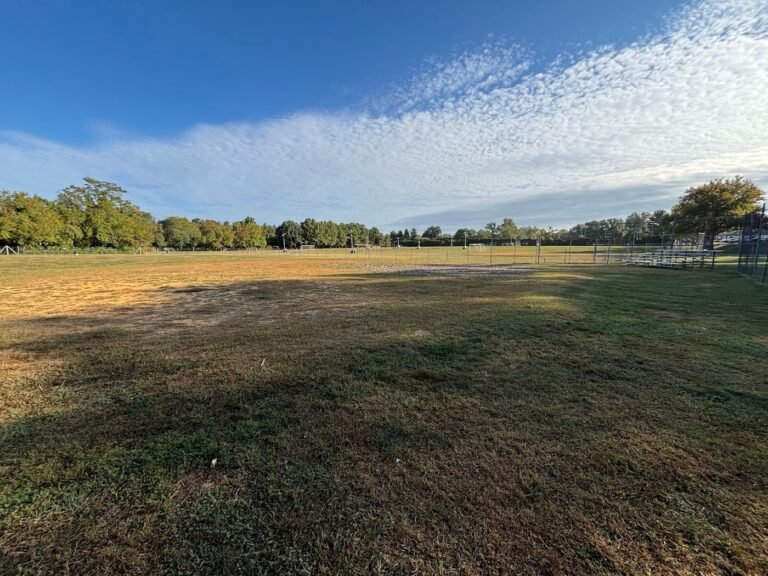 princeton dog park princeton 2 1 768x576