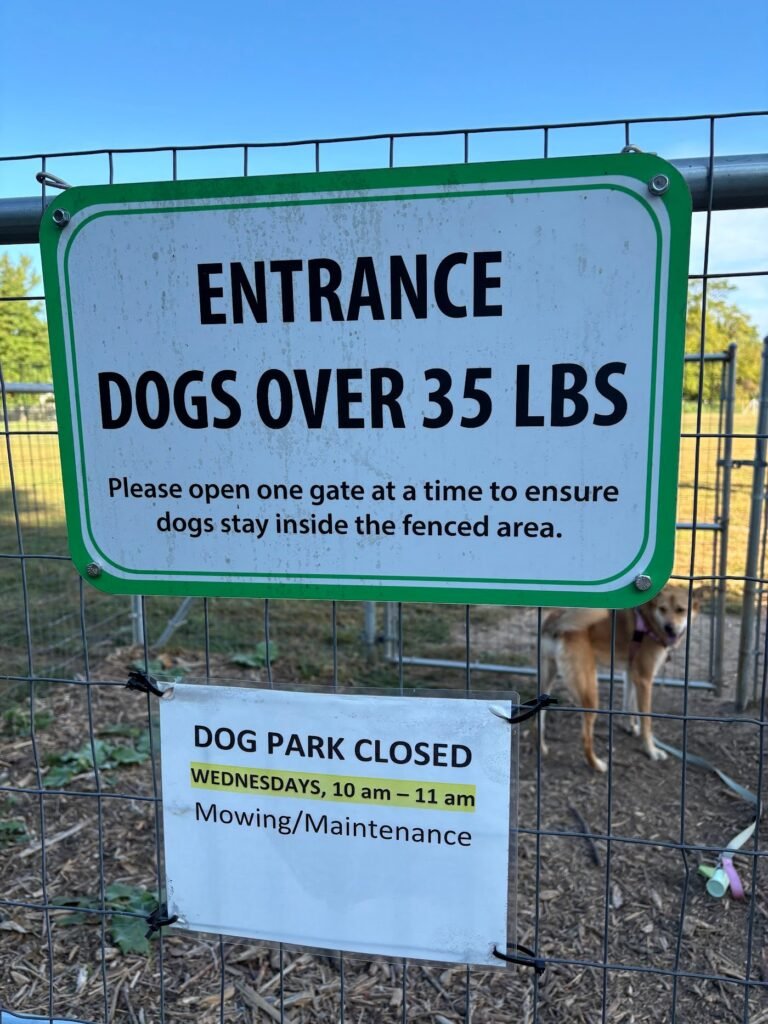 princeton dog park princeton 3 1 768x1024